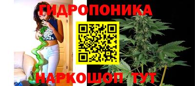 дживик Ливны
