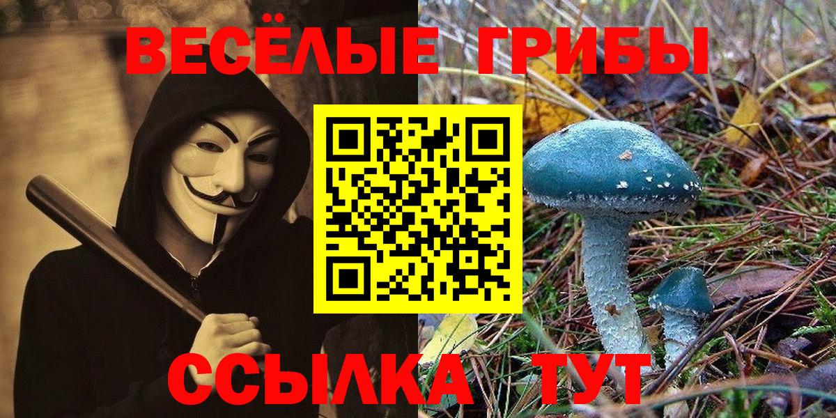 Галлюциногенные грибы мухоморы Соль-Илецк